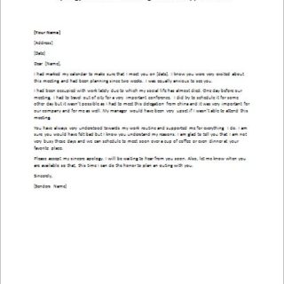 Apology Letter for Cancelling a Meeting  writeletter2.com