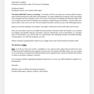 Termination Letter for Cheating the Company